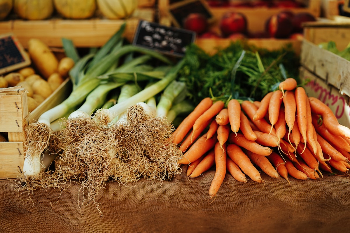 Plant-Based Protein Ideas article